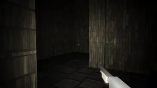 The Procedural Maze
