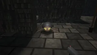 The Procedural Maze