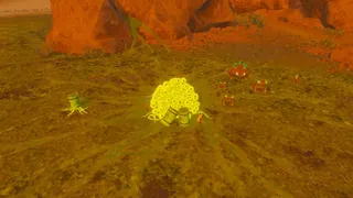 Super Pain Toad Carnage