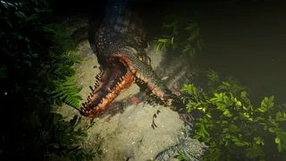 Dead Turn