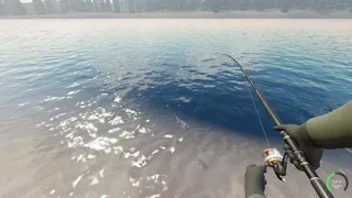 Rogoz Fishing