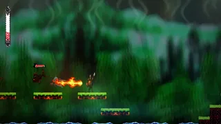 The Last Brazilian