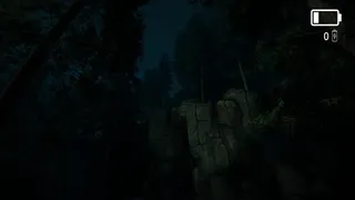 Forest Lookout