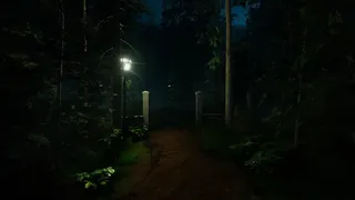 Скриншот 5 к игре Forest Lookout