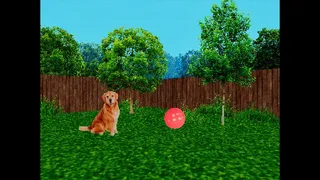 TAKE CARE OF THE DOG