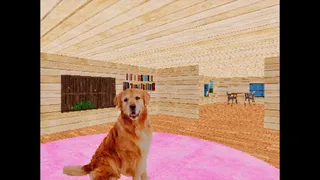 TAKE CARE OF THE DOG