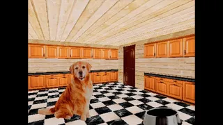 TAKE CARE OF THE DOG