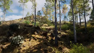 ISLAND：THE LAST