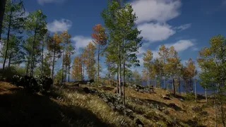 ISLAND：THE LAST