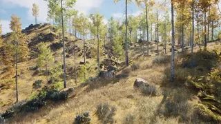 ISLAND：THE LAST