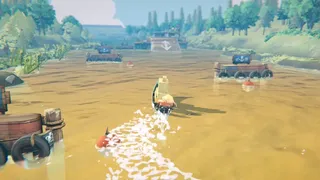 Mangrove Express