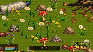 Shrunk Wilds