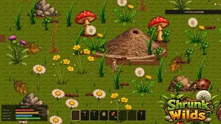 Shrunk Wilds