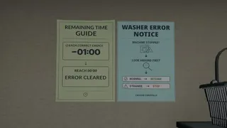 Laundromat Anomaly