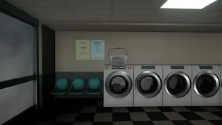 Laundromat Anomaly