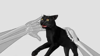 Hand Physics Lab