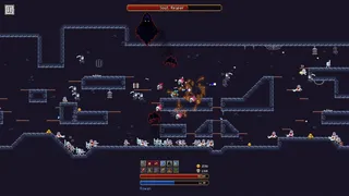 Castleborne Survivors