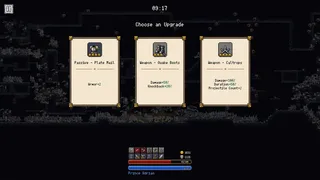 Скриншот 6 к игре Castleborne Survivors