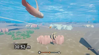 Master Baiter