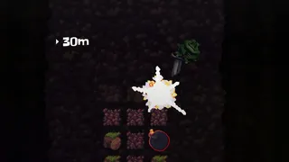 Pogo Frogo