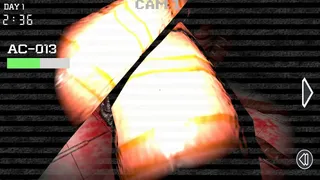 Anomaly Control Division