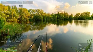 Live Fishing