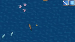 Squoids