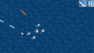 Squoids