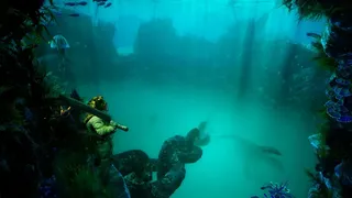 HALOCLINE