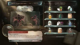 Echo Tide