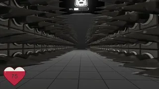 Observer's Mobius