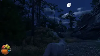 Special Delivery