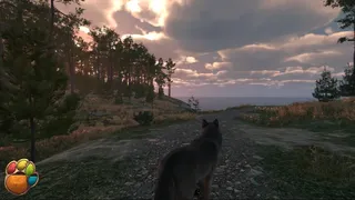 Special Delivery