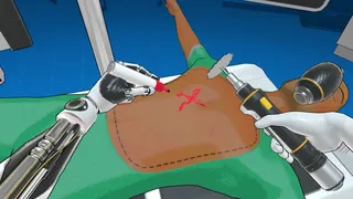 Surgineer
