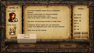 The Infinite Dungeon
