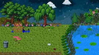ToadPonds