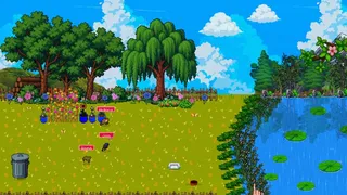 ToadPonds