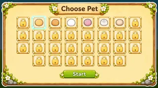 Mini Pet