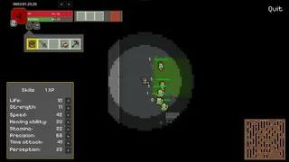 Maze Survivor