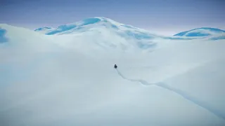 Still Wild