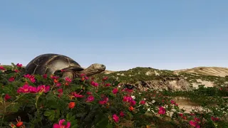 Скриншот 5 к игре Still Wild