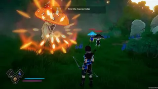 Naya: The Forgotten Path