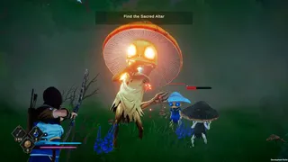 Naya: The Forgotten Path