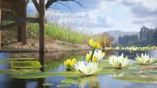 鱼之息：游钓者