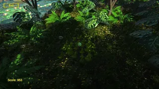 Lemon Simulator