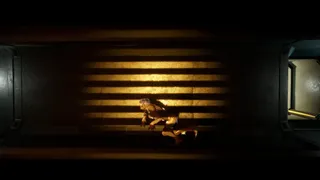 Anomaly : Rebirth