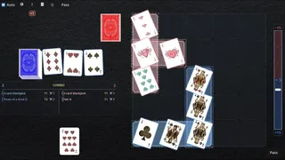 PokerField