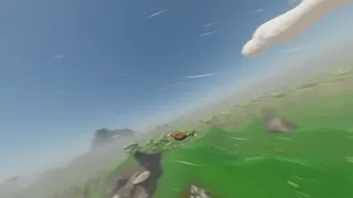 Counter Ducks