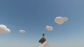 Counter Ducks
