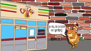 Adventures of Norman the Cat